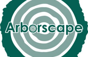 Tree Surgery Cumbria: Expert Solutions for Tree Removal and Maintenance tree surgery Cumbria