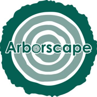Tree Surgery Cumbria: Expert Solutions for Tree Removal and Maintenance tree surgery Cumbria
