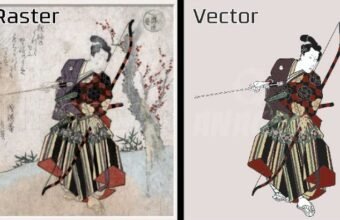Vector Artwork for DTG Printing: Complete Design Guide vector artwork for dtg printing