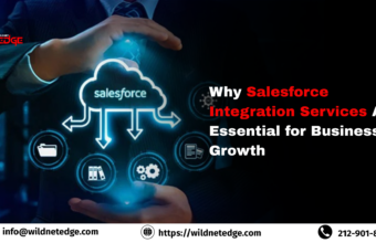 Why Salesforce Integration Services Are Essential for Business Growth Salesforce integration services